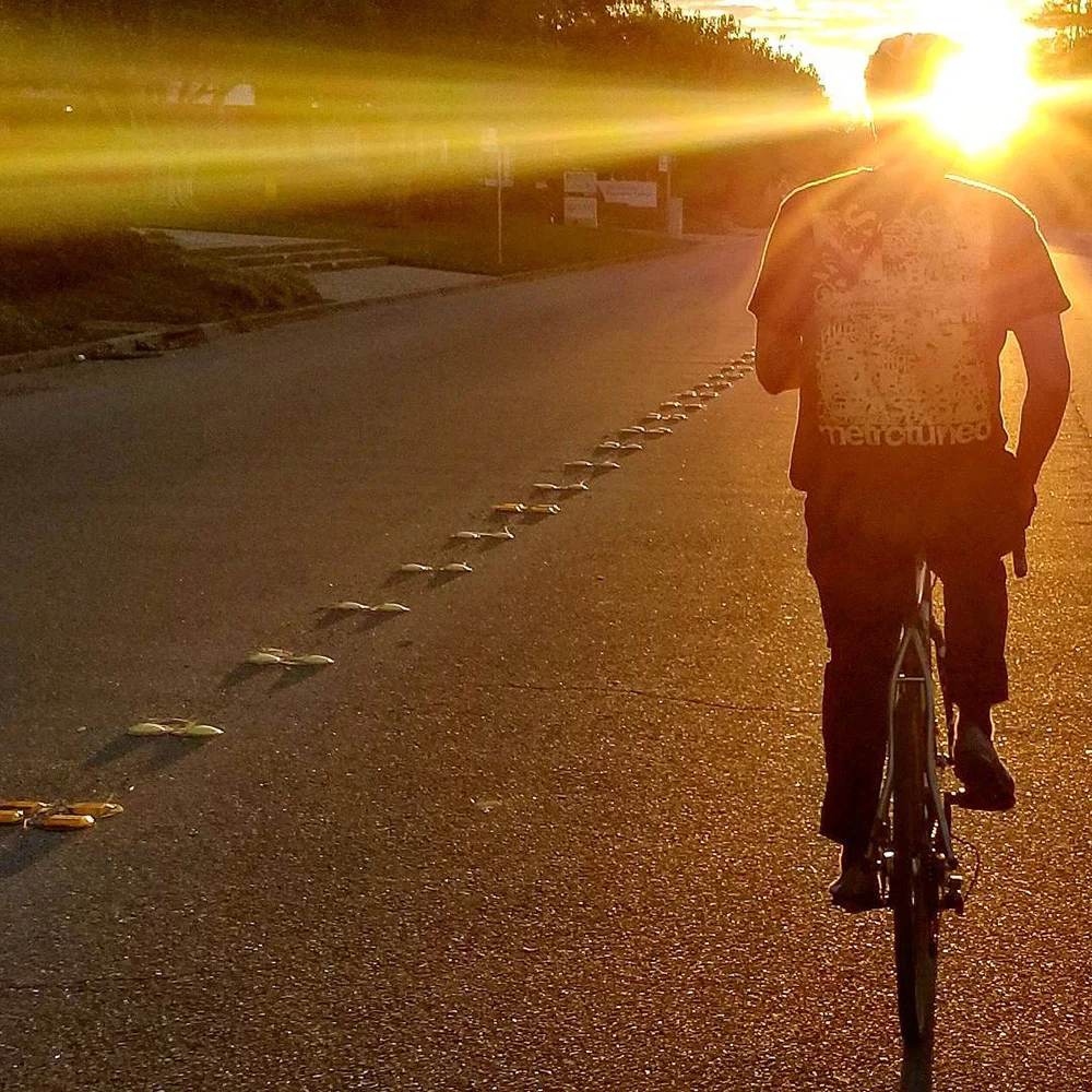 A person rides a bicycle down a paved road toward low sunlight, with bright rays crossing their silhouette.